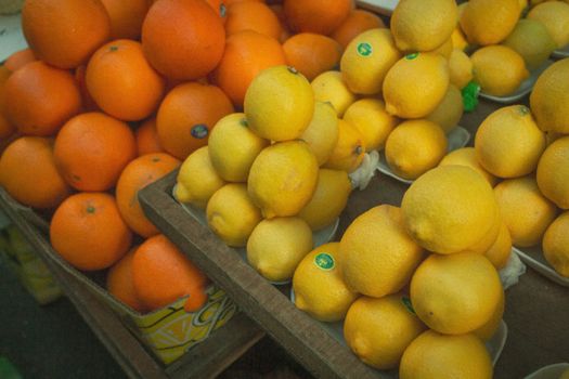 Citrusy